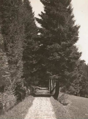 Bobritzschtal. Grabentour. Am Graben