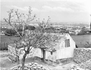 Ofen [Budapest]: Bauernhaus mit Baum in Knospen