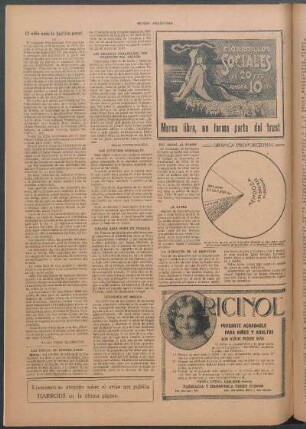 Del árbol al diario