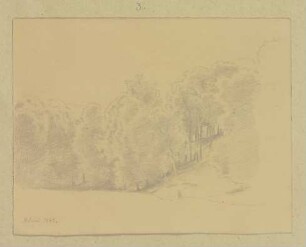 Waldrand