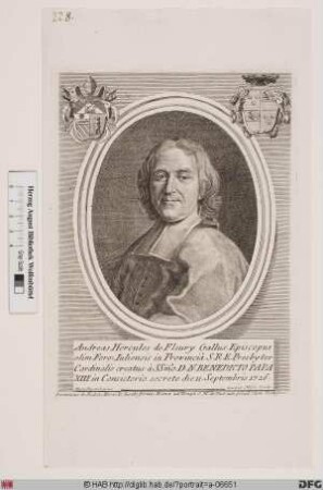 Bildnis Hercule-André de Fleury