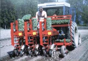 Fotografie: Gartenbautechnik-Freiland, Pflanztechnik