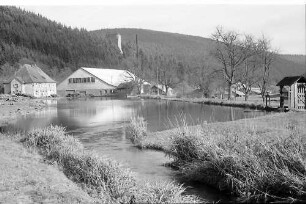 Weiher mit Sägewerk in Hammereisenbach