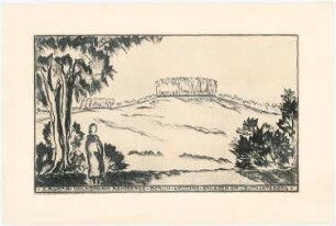 Volkspark Rehberge, Berlin-Wedding: Perspektivische Ansicht vom Leutnantsberg