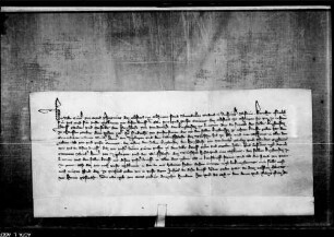 Abt Konrad von Elchingen quittiert dem Deutschen Haus zu Ulm, das den Kirchensatz zu Lautern gekauft hat, über 100 lb. h., die ihm die Grafen von Werdenberg dafür noch schuldig waren.