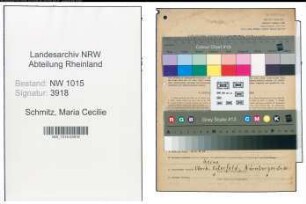 Entnazifizierung Maria Cecilie Schmitz , geb. 12.06.1915 (Aerztin)