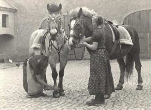 Vorbereitungen für das Osterreiten in Schwarzadler : Gesellschaftliche Volkskultur - Frühling. Ort: Čorny Hodler / Schwarzadler. Anschirren des Pferdes für das Osterreiten