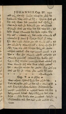 230-238, Cap. V - VI