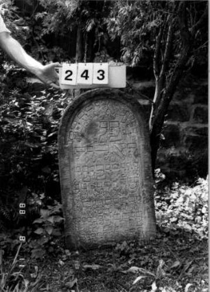Grabstein 243