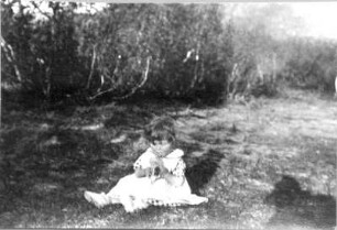 Photographien von Lappland. Kleines Mädchen mit Blütenkranz auf dem Kopf, auf einer Wiese sitzend