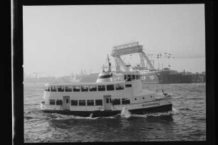 Wischhafen (1939), Hadag.- Hafen-Dampfschiffahrt AG, Hamburg