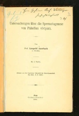 Untersuchungen über die Spermatogenese von Paludina vivipara