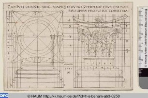 Grundriss: Kapitell und Basis einer Säule