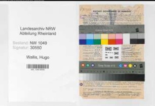 Entnazifizierung Hugo Wallis , geb. 12.04.1910 (Regierungsrat)