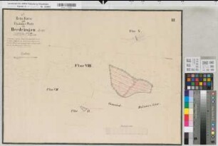 Hüsten (Arnsberg), Neheim (Arnsberg), Herdringen (Arnsberg), Teilung der Herdringer Grundstücke, Reinkarte Bl.3