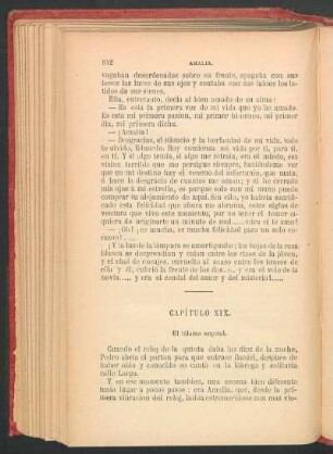 Capítulo XIX. - El tálamo nupcial.