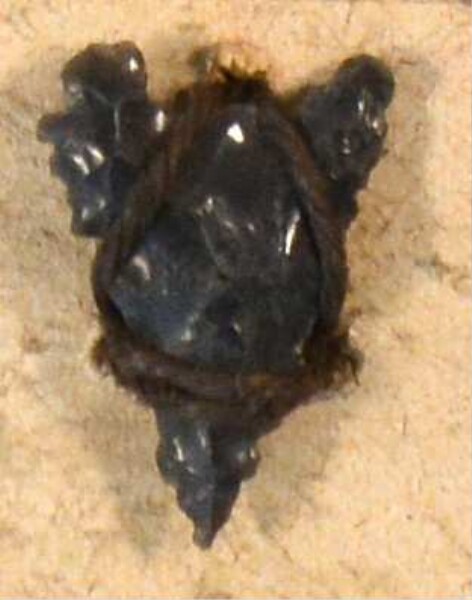 Stone arrowhead