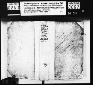Lager- und Gültbuch des Stifts Öhringen (Bd. 4).