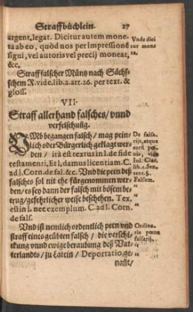 Straff allerhand falsches/ unnd verfelschunng.