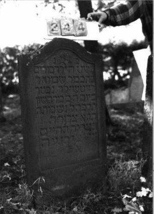 Grabstein 244 (Index: 99795858) Maße HxBxT: 98x51x10 cm Symbolik: Blüte Besonderheit: Kindergrab: Grabstein 244