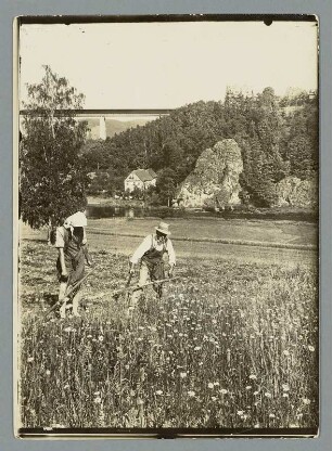 Erntezeit um Saalburg