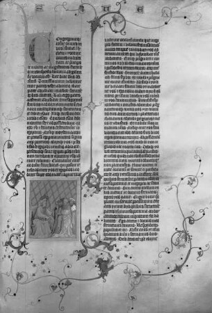 Wenzel-Bibel — ---, Folio 355