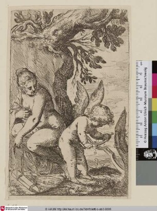 [Venus beobachtet Amor, der einen Bogen hobelt]