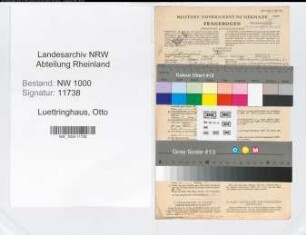 Entnazifizierung Otto Luettringhaus, geb. 31.05.1890 (Landesinspektor)
