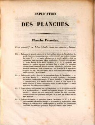 Anatomie comparée du cerveau : [Planches]