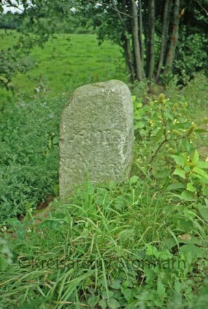 an der Grenze zu Linau (Kreis Herzogtum Lauenburg): Grenzstein [Nr. 50] zwischen Amt Steinhorst und Amt Trittau