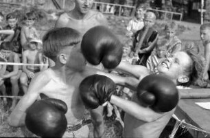 Junge Boxer