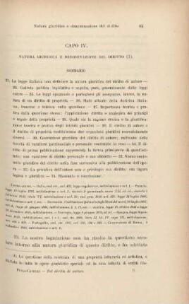 Capo IV. Natura giuridica e denominazione del diritto