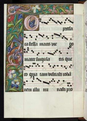 Bordüre, Zierintiale: O (preclara stella maris)
