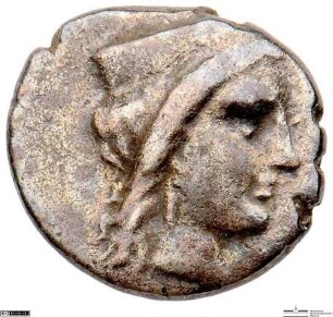 Argos