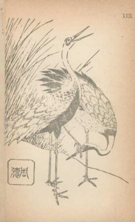 XXIX. [Two cranes. Mirror of drawing]