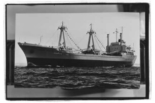 Moritz Schulte (1966), Schulte-Reederei.- Reederei Bernhard Schulte, Hamburg