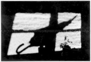 Schatten eines Fensters mit Regenschirm (Altersgruppe 14-17)