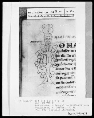 Hieronymus - Commentarii in Evangelium Matthaei — Initiale I(ohannes), Folio 27verso