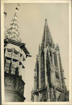 Freiburg im Breisgau