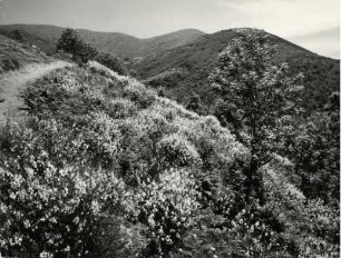 Landschaft in Kalabrien