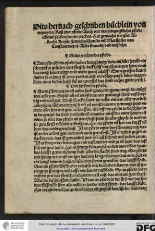Gutte zeychen der pferdt.