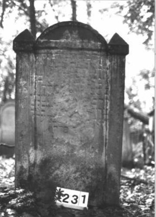 Grabstein 1231 (Index: 99900019) Material: Sandstein Zustand: völlig verwittert Maße HxBxT: 125x72x14 cm Beschreibung: Stele mit eingezogenem Rundbogenabschluss, Einzüge pyramidenförmig erhöht Besonderheit: vermutete Identifizierung nach Gräberverzeichnis und Sterberegister: Grabstein 1231