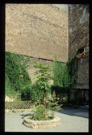 Diapositive: Waldemarstr. 31, 1986