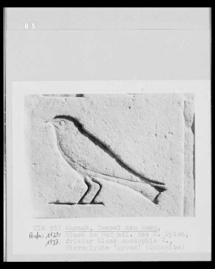 Hieroglyphe