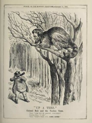 "Up a tree"