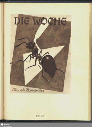 Die Woche. Tiere als Baumeister