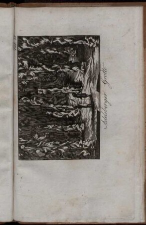 Tab. VI. Adelsberger Grotte