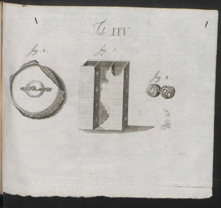 Tab. XXV.