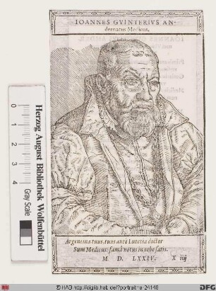 Bildnis Johannes Winter (od. Günther, lat. Guinterius)