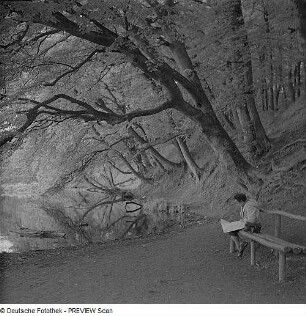 Herthasee im Wald des Nationalparks Jasmund